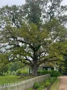 Пушкиногорье - 44