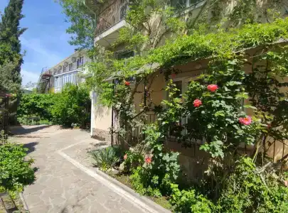 Баттерфляй - 19