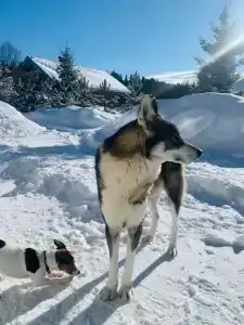 База отдыха Рюттю - 69