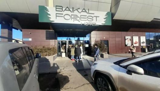 Baikal Forest - 90