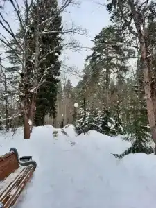Белое солнце - 92