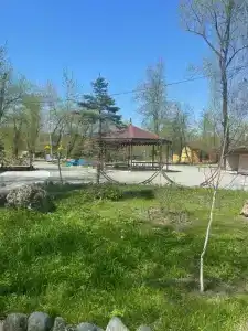 Берёзки - 10