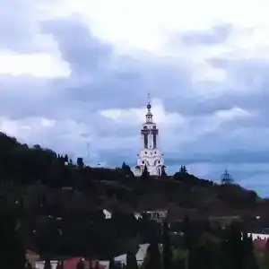 со слоном - 12