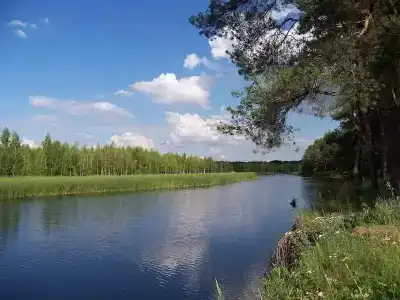 Бурдиха - 4
