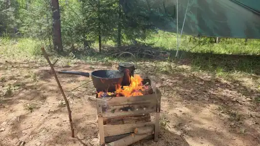 Сова - 6