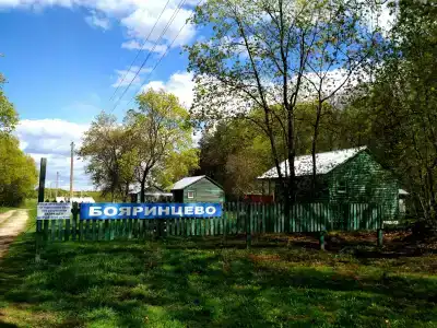 Бояринцево - 18