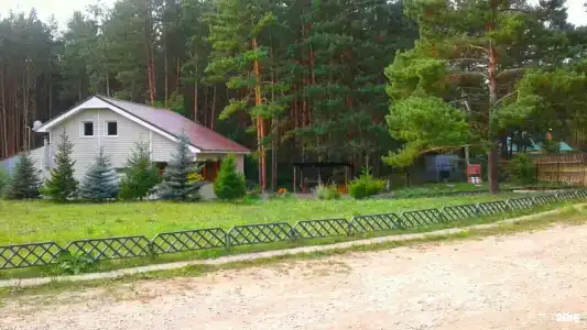Тюльпан - 1