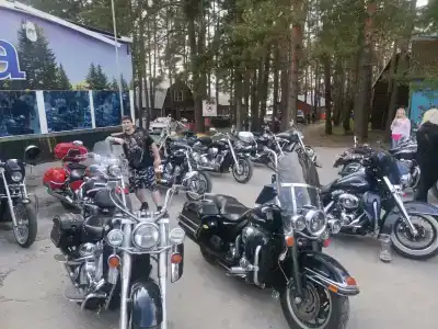Ромашка - 52