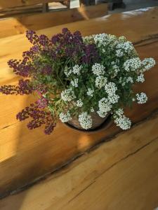 Эко Суздаль Inn - 71