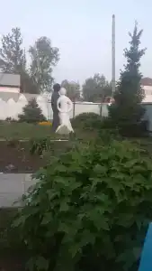 Райский уголок - 14