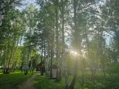 Гостиничный комплекс Лукоморье - 39