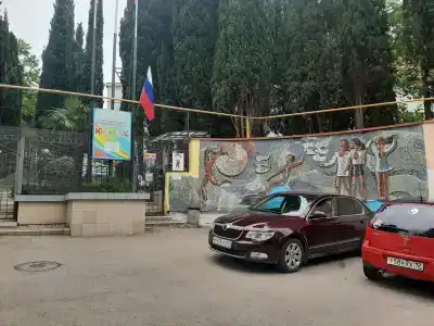 Кипарис - 88