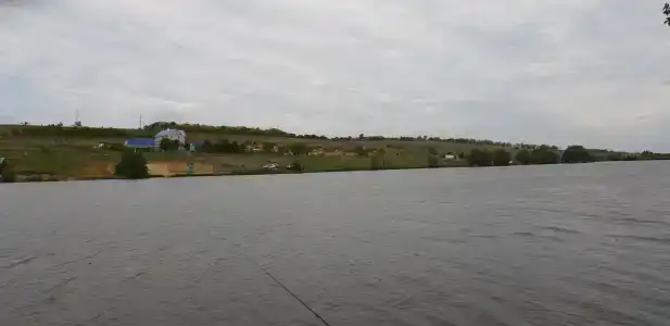 Золотой карп - 9