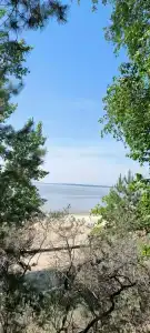 Звезда - 48