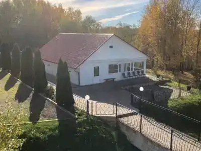 Лесная гавань - 0