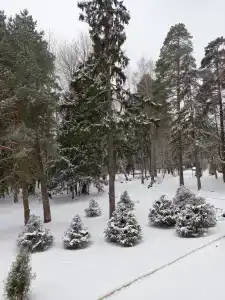 Хатунь - Звездочка - 13