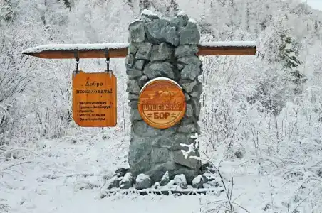 Таловский лог - 0