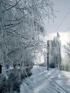 Светлана - 1