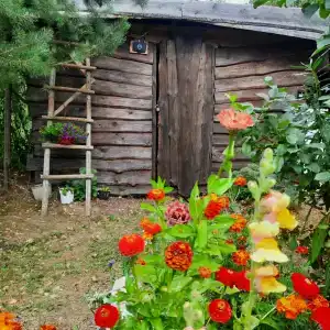Кедросад - 48