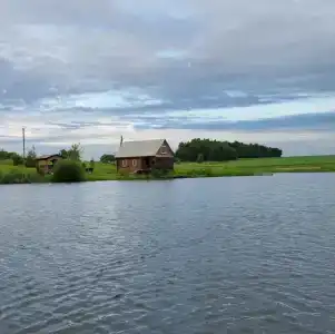 Золотая рыбка - 29