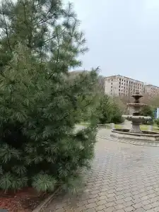 Морской берег - 38