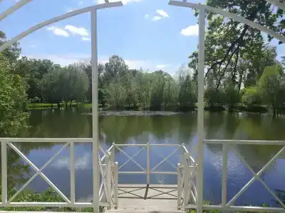 Ласточка - 35