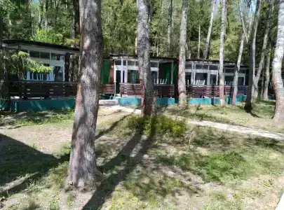 Чайка - 0