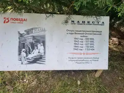 Мацеста - 95