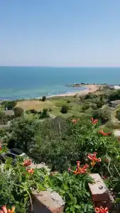 Замок грез - 62