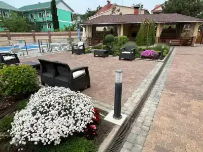 Золотой лев - 96