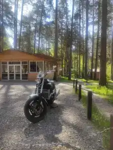 Белые Росы - 13