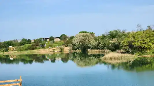 Желтый пляж - 1