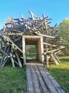 ЯсноПоле - 77