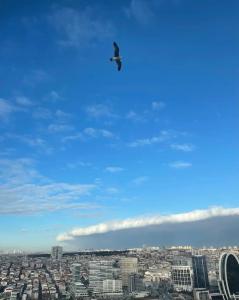 The Gs Istanbul - 20