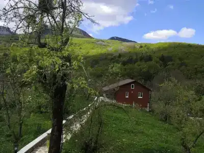 Дюльбер - 25
