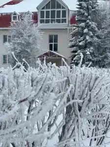 Березовка - 39