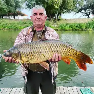 Раскаты - 26
