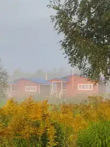 ПолеДом - 10