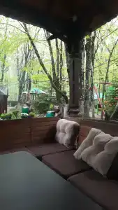 Надежда - 16