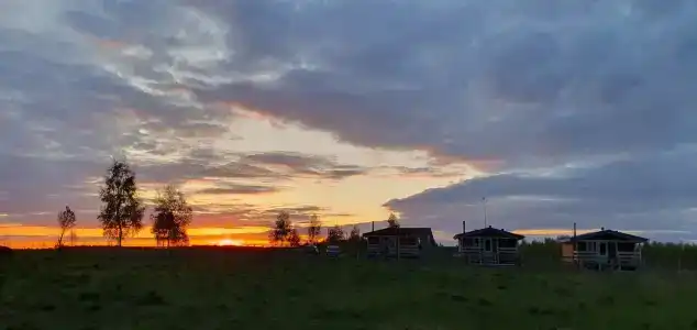ПолеДом - 88