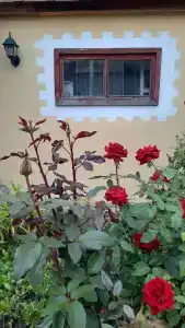 Дом Жар-Птицы - 33