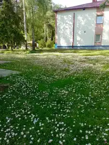 Динамо - 1