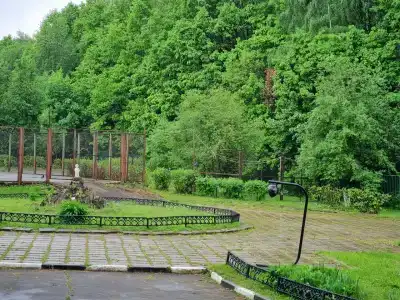 Паллада - 18