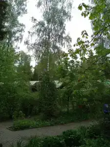 Романтик - 65