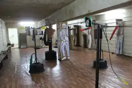 Хоста - 34