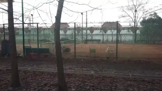 Хоста - 7