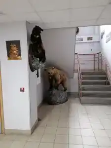 Норд Пилигрим - 47