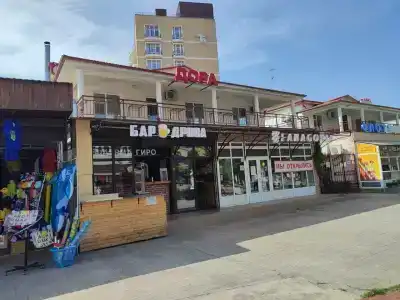 Дора - 1