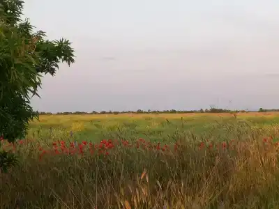 Солнышко - 78