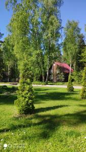 Зеленый городок - 28